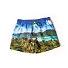 PHI PHI ISLANDS - shorts
